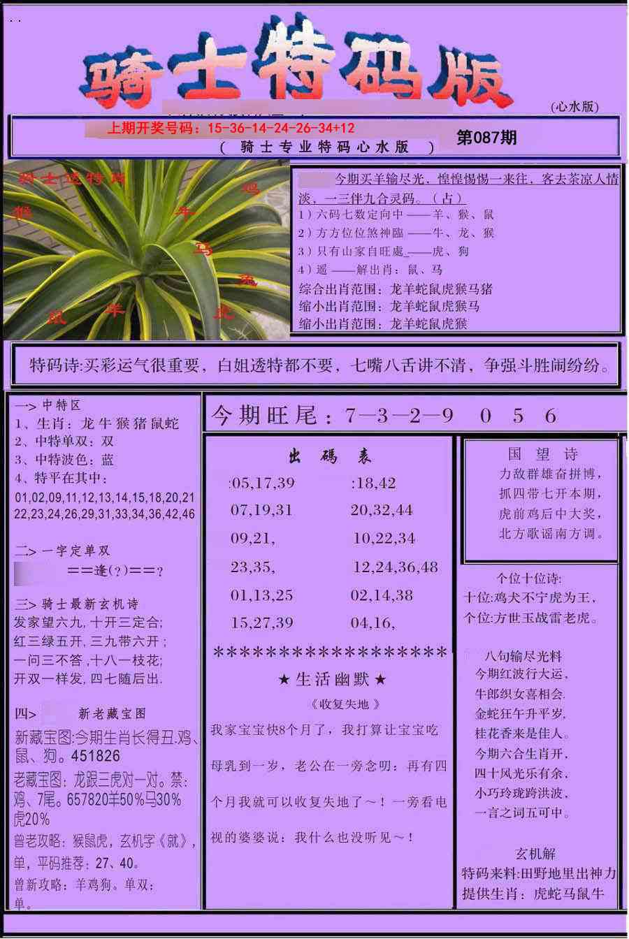 087期骑士特码版[图]